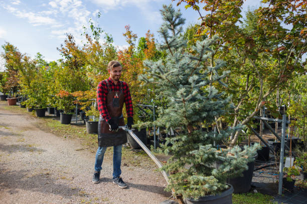 Best Tree Planting Services  in Rosita, TX